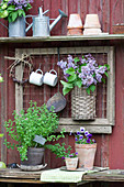 Bouquet of lilac in basket on wall above potted oregano and violas
