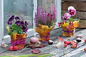 Horned violet sorbet 'Phantom', potting compost and pansies, pots wrapped in maple leaves, candle on wooden disc, chestnuts, and ornamental apples