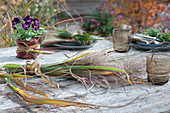 Bouquet of Chinese silver grass, horned violet sorbet 'Phantom' tied with a grass ribbon