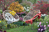 Seat by the autumn garden bed with perennials and shrubs, dog Zula lying on fur in an armchair
