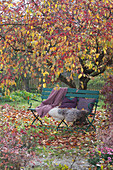 Garden bench with fur, cushion, and blanket under the ornamental apple tree