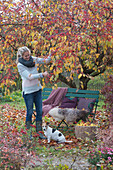 Frau schneidet Zweige vom Zierapfelbaum, Gartenbank mit Fell, Kissen und Decke, Hund Zula