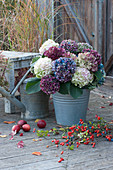 A lush bouquet of hydrangeas in a zinc bucket, apples and twigs with rose hips and sloes
