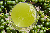 A glass of freshly pressed verjus (juice of unripe grapes)