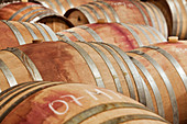 Barrique barrels, Martin Wassmer vineyard, Markgräflerland region, Baden, Germany