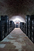 Bottle cellar, Ebner-Ebenauer vineyard, wine quarter, Austria