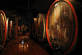 Barrel cellar, Wegeler vineyard, Rhinegau, Germany