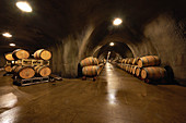 Barrel cellar, Inglenook Winery, Napa Valley, California, USA