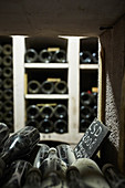 Bottles in a wine cellar, Domaine Dujac, Burgundy, France