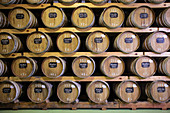 Madeira barrels, Justinos, Madeira, Portugal