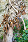 Wire ring with old rusty keys hanging from a vine