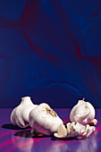 Garlic against a blue background