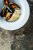 Mussels and Coconut Soup