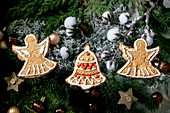 Christmas gingerbread cookies with icing ornate