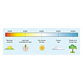 Colour temperature spectrum, illustration