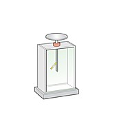 Gold leaf electroscope, illustration