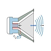 Moving coil loudspeaker, diagram