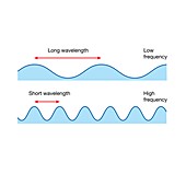 Wavelength and frequency, illustration