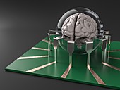 Brain-computer interface, illustration