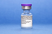 Pfizer-BioNTech Covid-19 vaccine