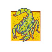 Scorpio zodiac sign, illustration