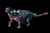 Artwork of the dinosaur ankylosaurus