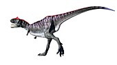 Artwork of the dinosaur carnotaurus