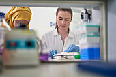 Female scientists working in laboratory