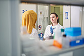 Female scientists working in laboratory