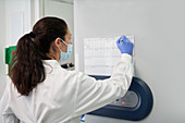 Scientist in face mask marking schedule on wall