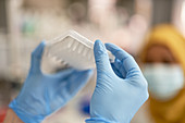 Scientist in rubber gloves holding specimen tray
