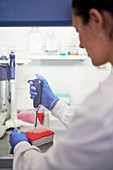 Scientist using pipette tray at laboratory fume hood