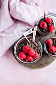 Buckwheat chocolate pudding with raspberries (vegan)