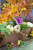 Autumn basket with edible pumpkins, kale, ornamental kale, and budding heather