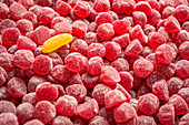 Red gumdrops and a single yellow gumdrop (filling the picture)