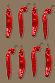 Two rows of red chillies on a brown background