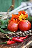 Tomatoes, hot peppers and marigold blossoms