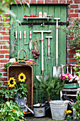 Gartengeräte, Gemüse, Sonnenblumen, Rosmarin-Stämmchen und Korb mit Blüten