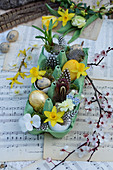 Small Easter decoration in an egg carton with daffodil flowers, grape hyacinth, Easter eggs and feathers