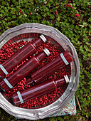 Cranberry ketchup in flasks on a silver tray