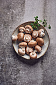 Fresh mushrooms on a ceramic plate