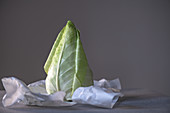 Pointed cabbage on paper against a gray background