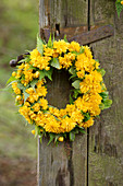 Flower wreath made from Kerria 'Pleniflora'