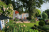 Hanggarten mit Ramblerrosen 'Ghislaine de Feligonde' und 'Lykkefund', englische Rose 'Crown Princess Margareta', Katzenminze, Lavendel, überdachtes Regal als Arbeitsplatz