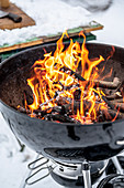 Lit wood burning grill