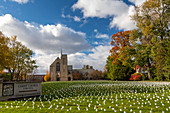 Flags symbolising Covid-19 deaths in a cemetery