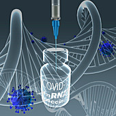 Covid-19 vaccine, conceptual illustration