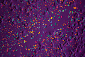 Manganese sulphate, polarised light micrograph