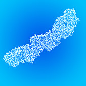 Cross-reactive HIV antibody fragment, illustration