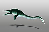 Artwork of a plesiosaur